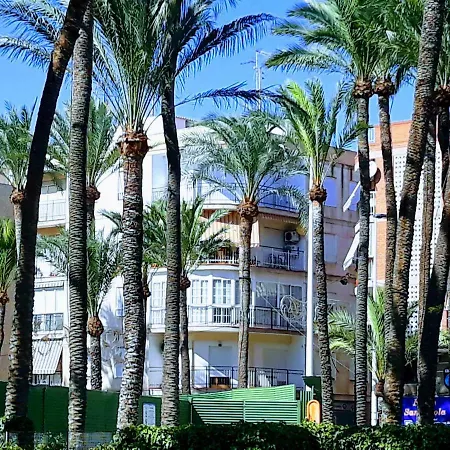 El Palmeral
